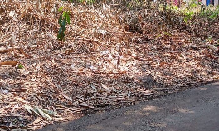 For sale strategic land in a serene environment