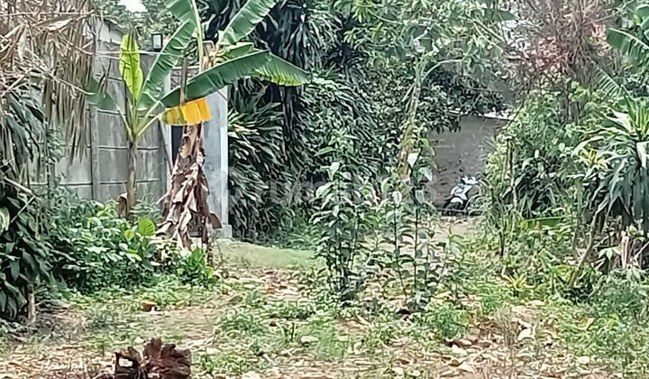 Flat land for sale, ready for construction, dense condition.