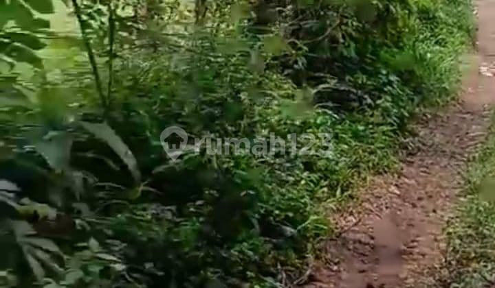 Dijual lahan kosong,elevasi datar tanpa pengurugan