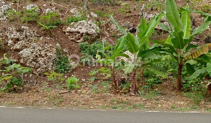 Tanah Kavling siap Bangun Villa di Pantai Obyek Wisata Madasari .