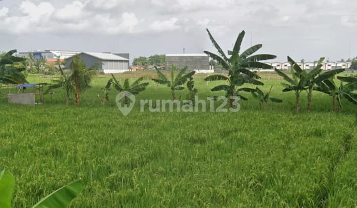 Dijual Cepat Tanah Sawah 5500 M2 Dekat Bandara Soetta dan Pik 2