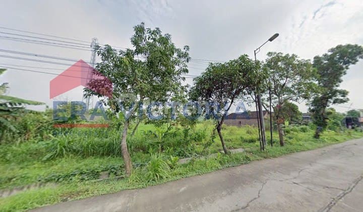 Tanah di Jalan Raya Provinsi Cocok untuk Investasi Mojokerto