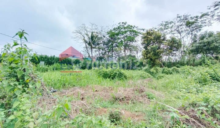 Malang City Land Plot Near Campus Can Be Built as Boarding House