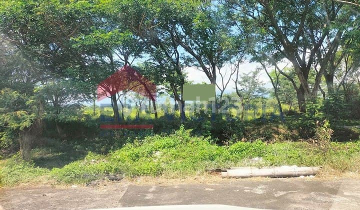 Tanah Jual Untuk Gudang Dan Pabrik Di Pasuruan