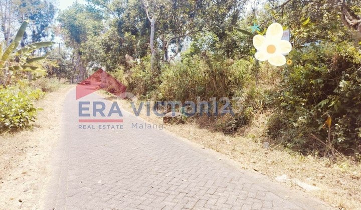 Tanah untuk Peternakan di Ngembal Tutur Pasuruan Tanah