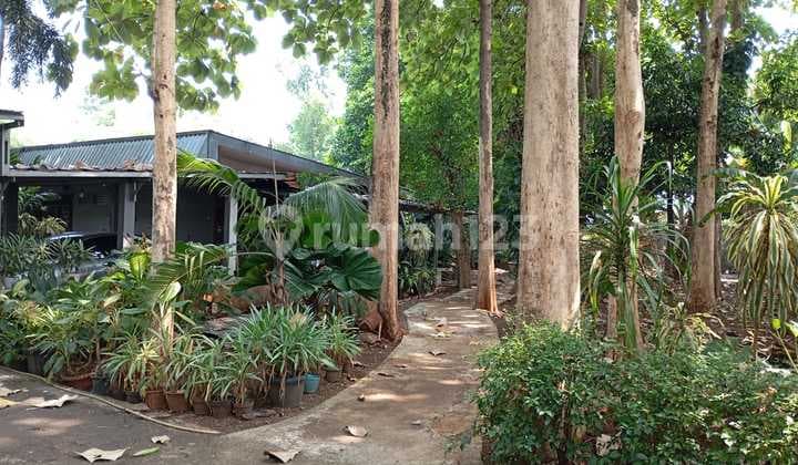 Dijual Tanah Harga NJOP Lokasi Dipinggir Jalan Raya Petukangan Jaksel
