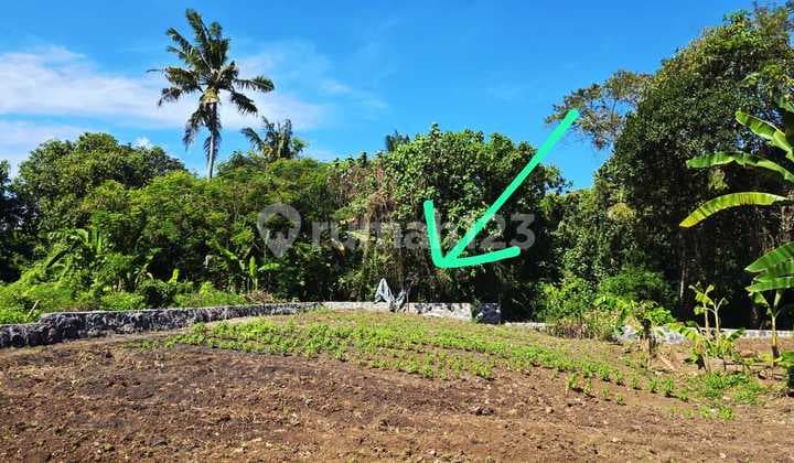 8 are ocean View in Tibubiyu