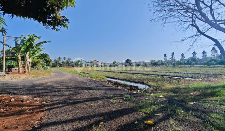 Kavling Ada Bangunan Luas 28000m, Kampung Melayu Teluk Naga