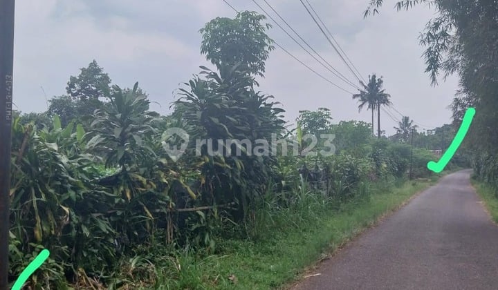 Lahan Strategisi Peruntukan Perkebunan Dan Peternakan Di Limpakuwus Baturaden