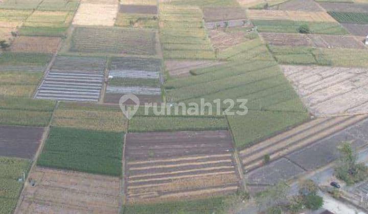 Tanah Di Kawasan Peruntukan Industri Land Sragen