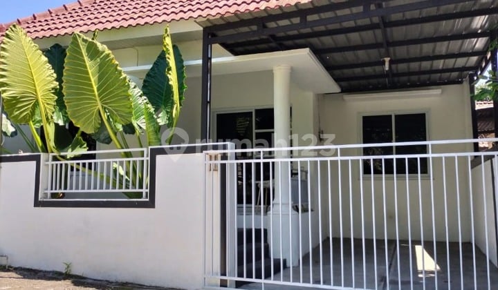 Rumah Villa Strategis Ada Swimming Pool Dekat Ugm di Sleman