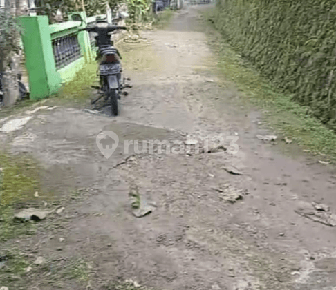 Lahan Siap Pakai Strategis Untuk Kandang Di Jumapolo