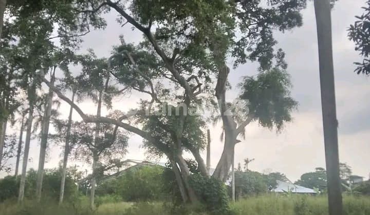 Tanah Startegis Pinggir Jalan Raya di Pamulang Tangerang