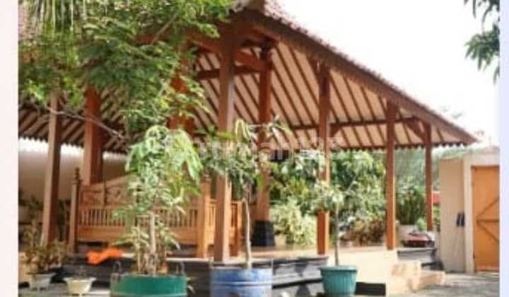 Rumah Startegis Luas Bisa Untuk Rental di Bantarsoka Purwokerto