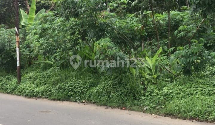 Strategic Investment Ready-to-Use Land in Randuacir