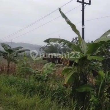 Lahan Strategis Siap Pakai Cocok Untukperkebunan /peternakan Di Wonosamodra, Boyolali