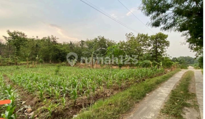 Lahan Premium Bisa Untuk Perkebunan / Kandang Di Boyolali