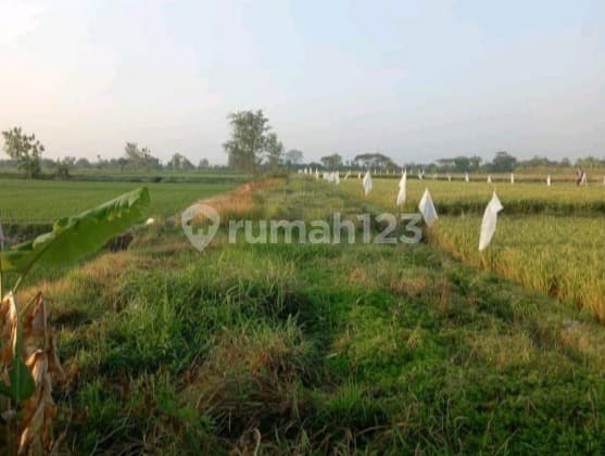 Lahan Industri Strategis Siap Pakai di Zona Industri Klaten