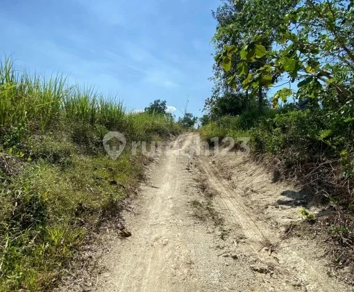 Lahan Strategis Utk Kandang/perkebunan Di Sawit, Boyolali