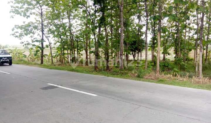 Lahan Industri Strategis di Ngaringan Grobogan