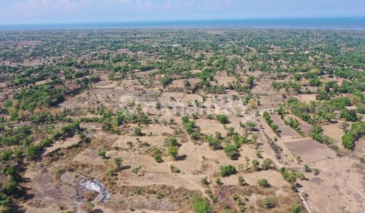 Tanah Strategis Luas Di Dekat Pelabuhan Pasuruan