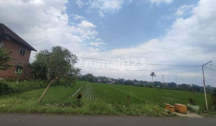 TANAH PERKEBUNAN SIAP BANGUN LOKASI SANGAT STRATEGIS HARGA TERJANGKAU
