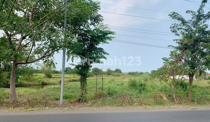CEPAT TANAH SIAP BANGUN COCOK UNTUK GUDANG SUPERMARKET BERBAGAI TEMPAT USAHA CEPAT TANAH SIAP BANGUN COCOK UNTUK GUDANG SUPERMARKET BERBAGAI TEMPAT USAHA