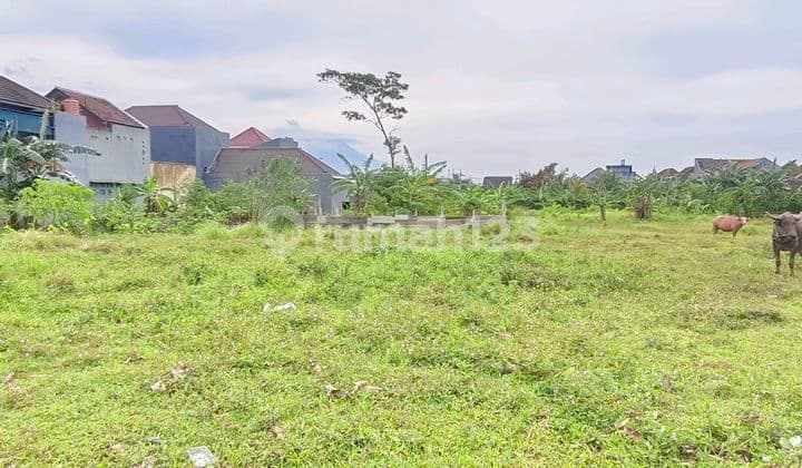 Tanah Kavling Siap Bangun Lokasi Sangat Strategis Dekat Pusat Perbelanjaan dan Kampus