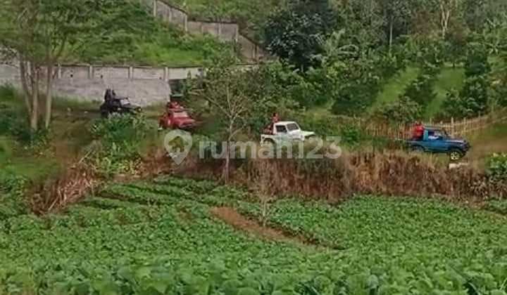 DIJUAL SECEPATNYA TANAH PERKEBUNAN SUBUR LOKASI SANGAT STRATEGIS HARGA SANGAT TERJANGKAU