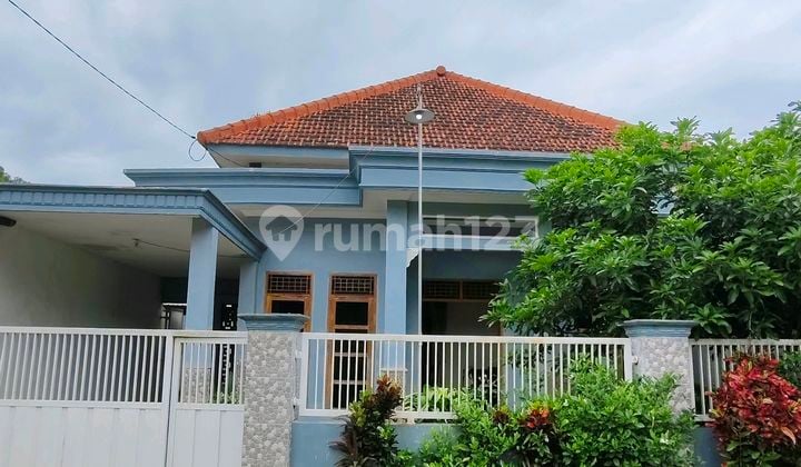 Rumah 1 Lantai Cantik & Bagus Siap Huni Dengan Harga Sangat Terjangkau