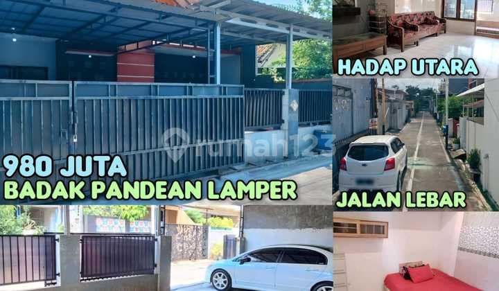 Selling House Badak Padean Lamper