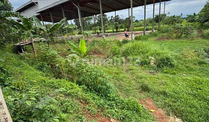 Jual Murah Butuh Uang Tanah Di Jl. Babat Legik