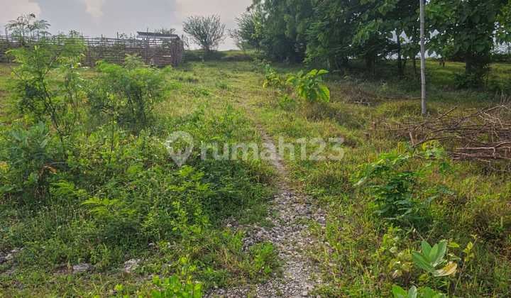 Di Jual Tan Tengah Kota Rembang