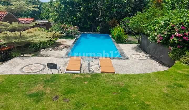 Villa Joglo Fully Furnished With Big Garden Near Balangan Beach