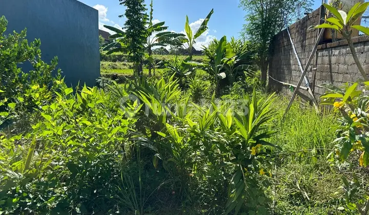 Rare Land with Rice Field View Near Keramas Beach & Saba Beach