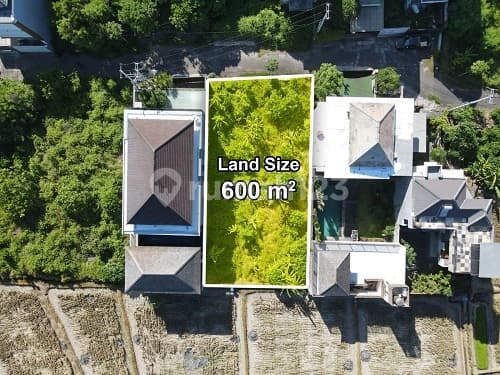 Tanah 6 Are di Pantai Rangkan Ketewel Area Nyaman Quite Akses Jalan Lebar Cocok Untuk Villa