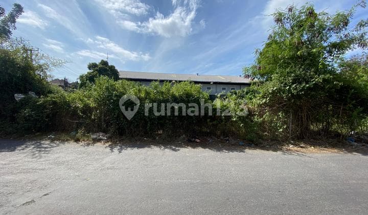 Tanah Komersial Belakang Grand Bumi Mas Gatsu Jalan Gunung Catur Denpasar Barat Cocok Untuk Gudang Atau Sekolah
