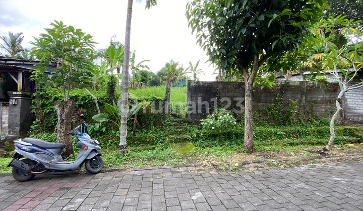 Cheap Land in a Comfortable, Quiet Area, Close to Tabanan City, Ready to Build with SHM