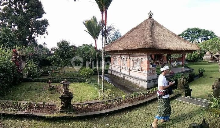 Tanah 49 Are di Jalan Utama Mekarsari Luwus Baturiti Area Komersial Dekat Rs Semaratih Dan Cocoaland Bali
