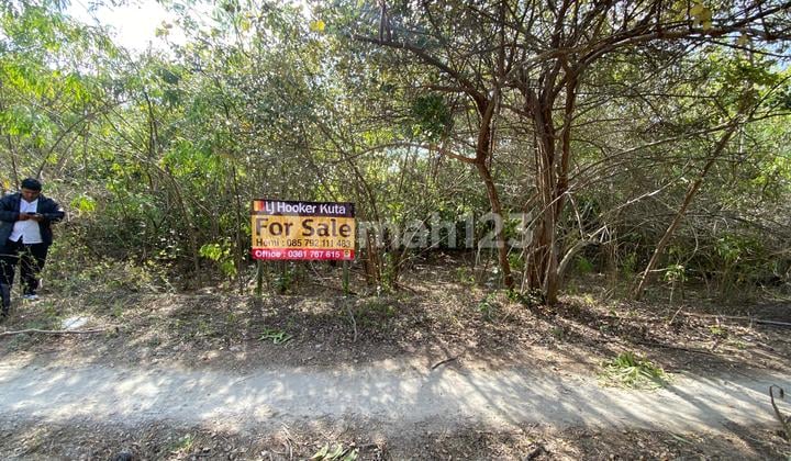 Land Ready to Build View Gwk in Goa Gong Jimbaran Cheap Quite Area