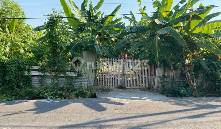 Tanah Disewakan di Dewi Sri Kuta Luas 7 Are Cocok Untuk Villa Area Quite Nyaman