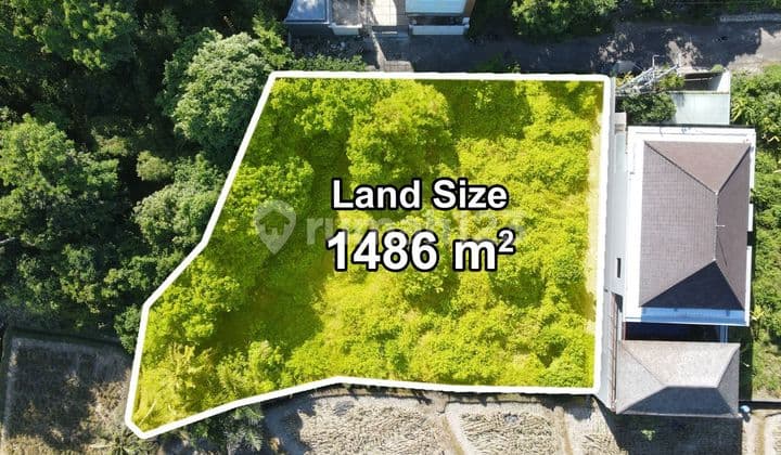 Tanah 14 Are Dekat Pantai Rangkan Ketewel Area Villa Nyaman Akses Jalan Lebar SHM