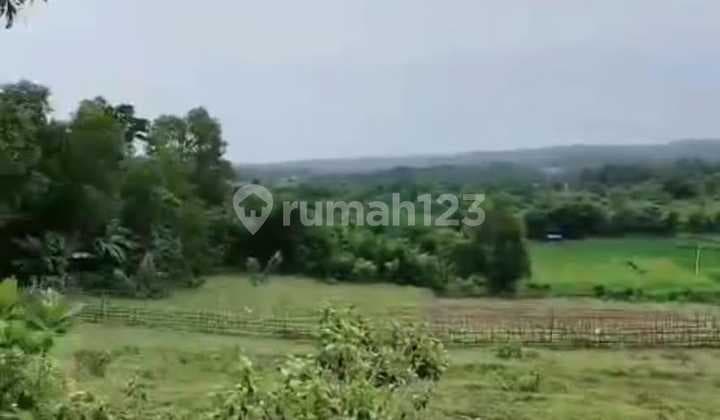 Tanah 1700Ha di Subang