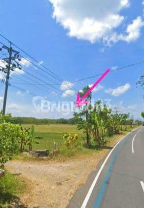 Strategic Industrial Good Cheap Land in Pedan Klaten