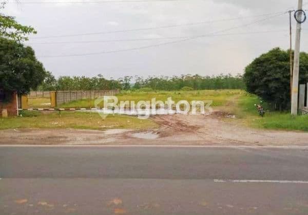 Tanah Murah Siap Bangun di Kaliwungu Kendal Semarang