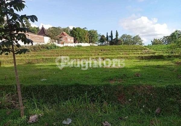 Cheap Land Near Jimbaran Restaurant Karangpandan Karanganyar