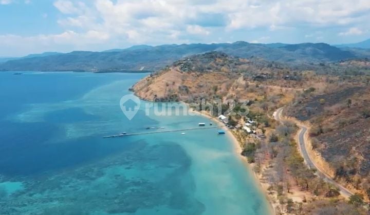 Tanah Di Labuan Bajo NTT 50.832 m² SHM