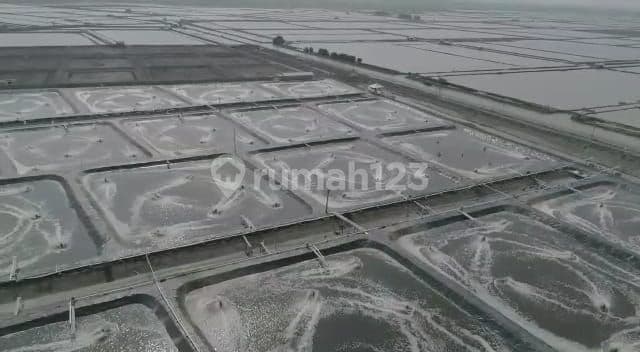Shrimp Pond in Karawang 180,000 m2 Good SHM