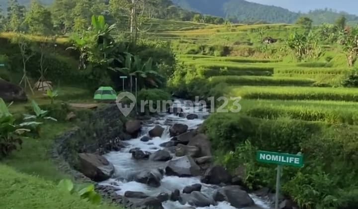 Vila View Terbaik di Cimaung- Puntang, Kabupaten Bandung, Jawa Barat 4.232 M²