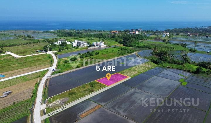 Tanah Premium Di Kedungu Belalang, Tabanan